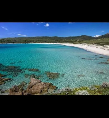 アパート Magnifique T2 45m2 Neuf 5 Personnes Clim Wifi Stationnement Gratuit Centre A 300m アジャクシオ